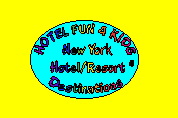 Click here to view Resort and Hotel Listings in New York